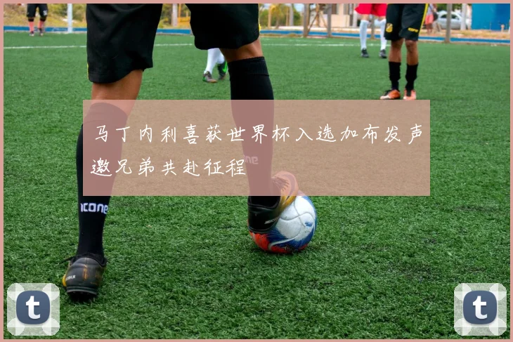 马丁内利喜获世界杯入选加布发声邀兄弟共赴征程