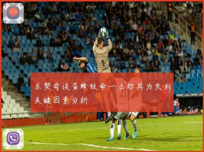 东契奇谈黄蜂致命一击称其为失利关键因素分析