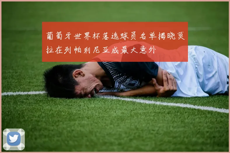 葡萄牙世界杯落选球员名单揭晓莫拉在列帕利尼亚成最大意外