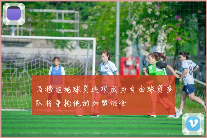 马穆拒绝球员选项成为自由球员多队将争抢他的加盟机会
